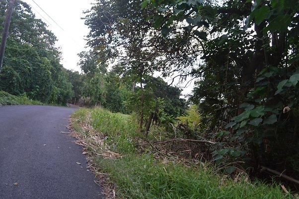 th DSC 0746 th DSC 0746