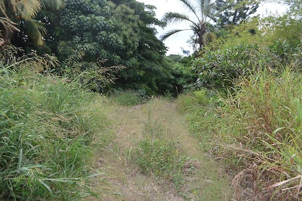 th DSC 0728 th DSC 0728