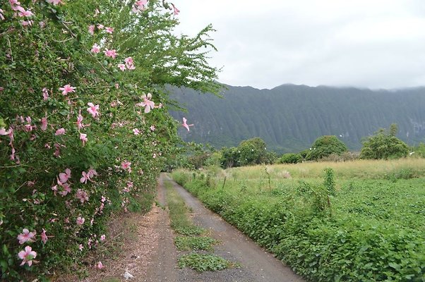 th DSC 0716 th DSC 0716