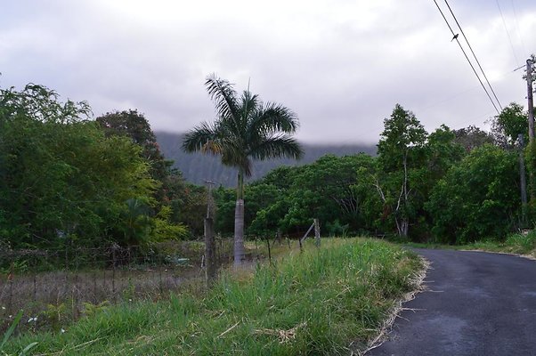 th DSC 0744 th DSC 0744