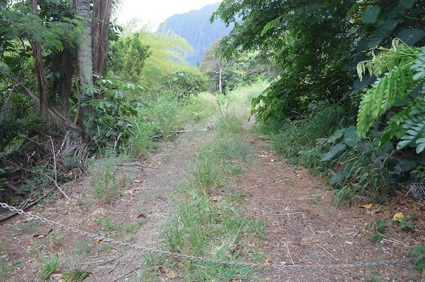 th DSC 0725 th DSC 0725