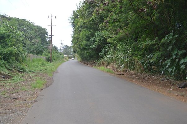 th DSC 0719 th DSC 0719