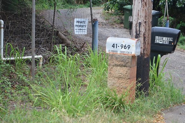 th DSC 0736 th DSC 0736