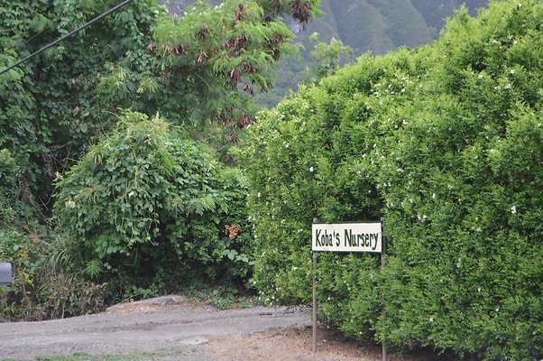 th DSC 0723 th DSC 0723