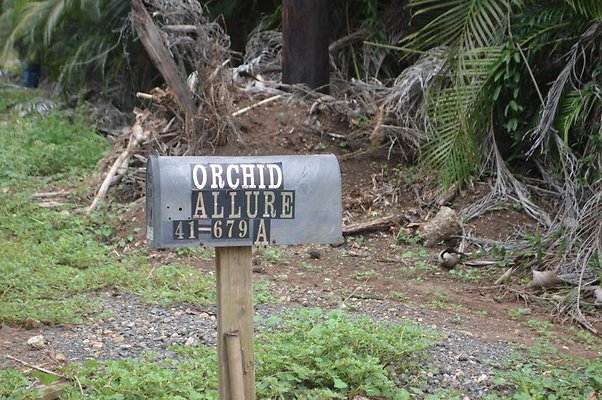 th DSC 0720 th DSC 0720