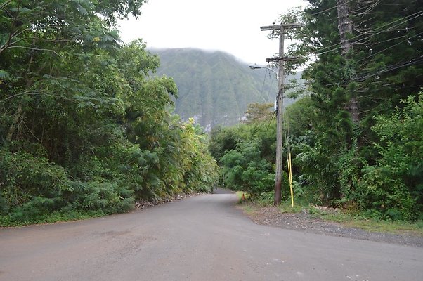 th DSC 0747 th DSC 0747