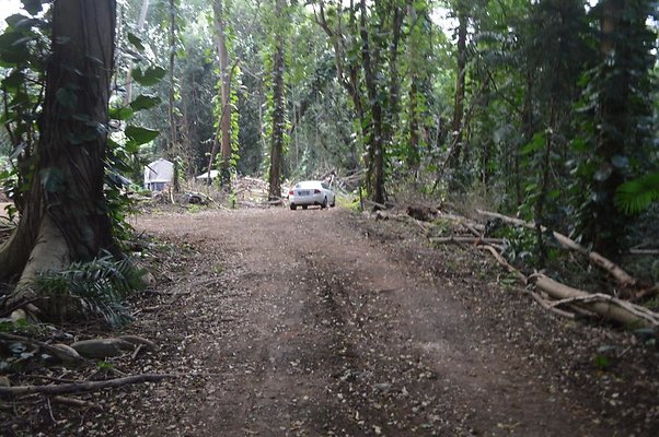 Waimanalo Dirt Roads - Other