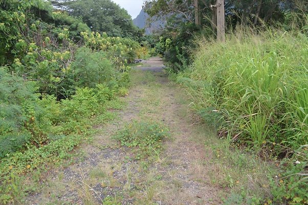 th DSC 0729 th DSC 0729