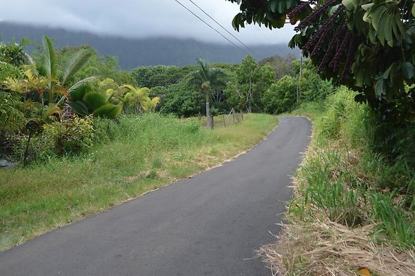 th DSC 0732 th DSC 0732