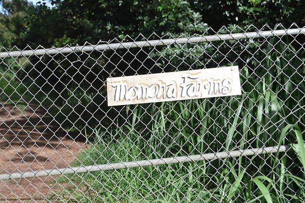 th DSC 0741 th DSC 0741