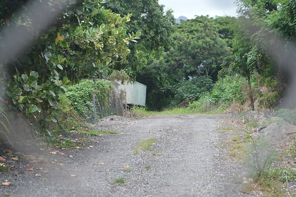 th DSC 0721 th DSC 0721