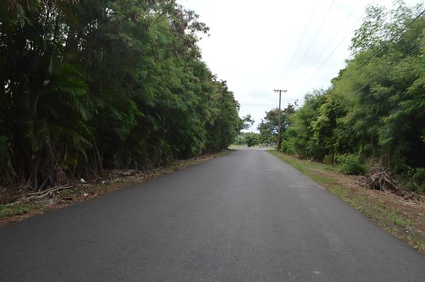 th DSC 0715 th DSC 0715