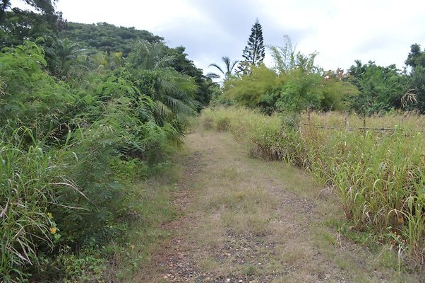 th DSC 0730 th DSC 0730