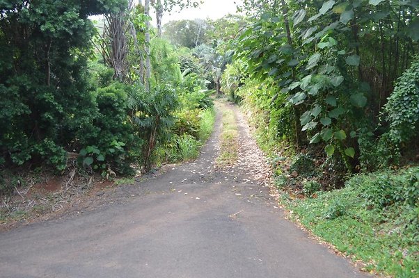 th DSC 0737 th DSC 0737