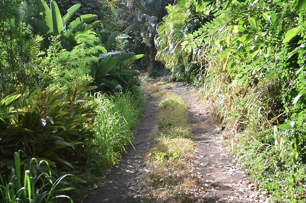 th DSC 0740 th DSC 0740