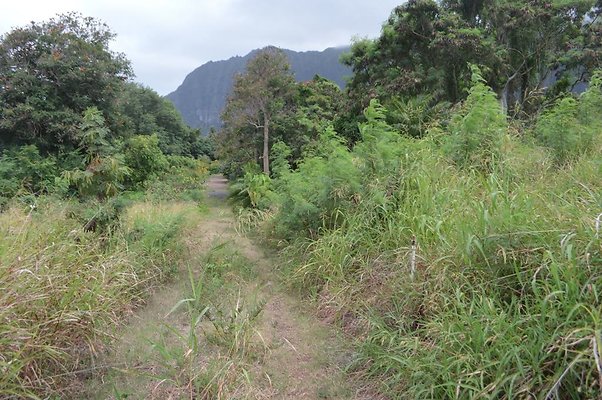 th DSC 0727 th DSC 0727