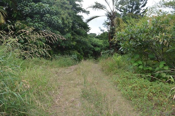 th DSC 0734 th DSC 0734