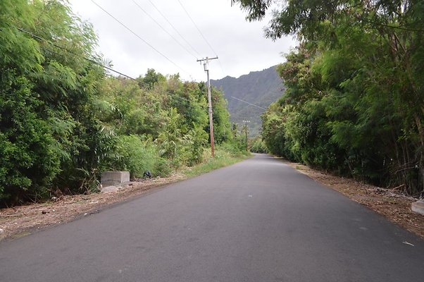 th DSC 0713 th DSC 0713