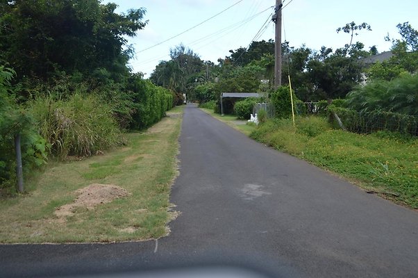 th DSC 0733 th DSC 0733