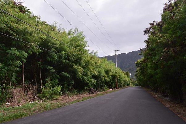 th DSC 0712 th DSC 0712