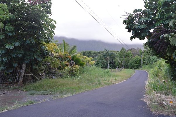 th DSC 0743 th DSC 0743