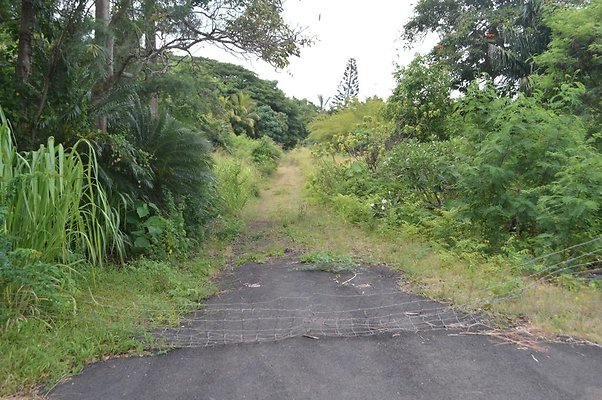 th DSC 0731 th DSC 0731