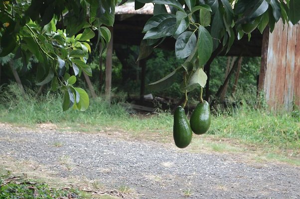 th DSC 0717 th DSC 0717