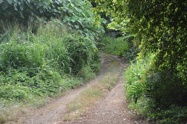 th DSC 0739 th DSC 0739