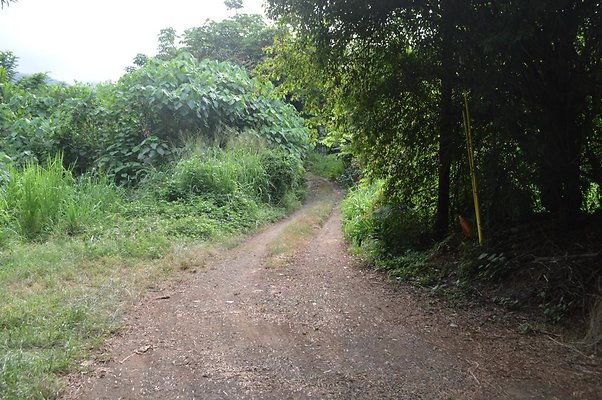 th DSC 0738 th DSC 0738