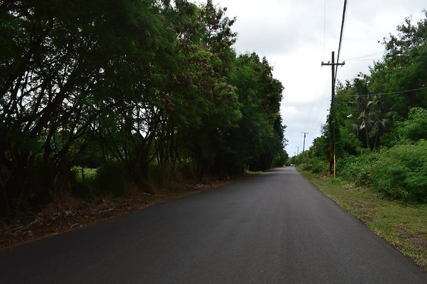 th DSC 0714 th DSC 0714