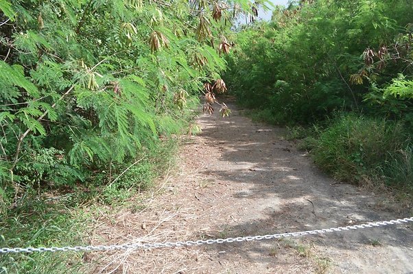 Sherwood Forest Dirt Road