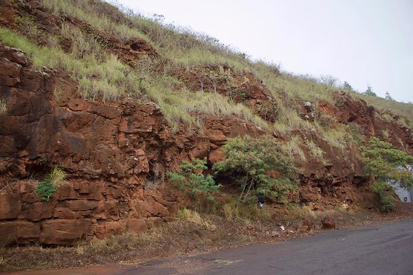 th IMG 6715 th IMG 6715