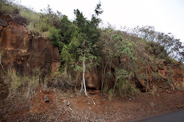 th IMG 6728 th IMG 6728