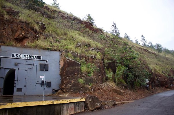 th IMG 6719 th IMG 6719