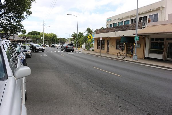 th IMG 0773 th IMG 0773