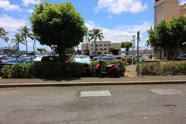 th IMG 1484 th IMG 1484