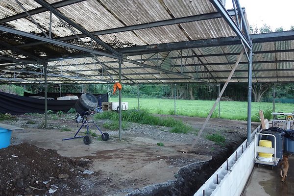 th DSC07038 th DSC07038