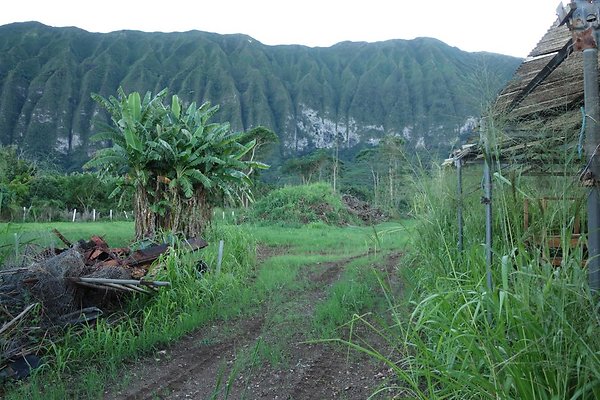 th DSC07020 th DSC07020