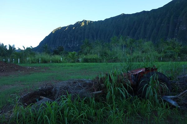 th DSC07019 th DSC07019