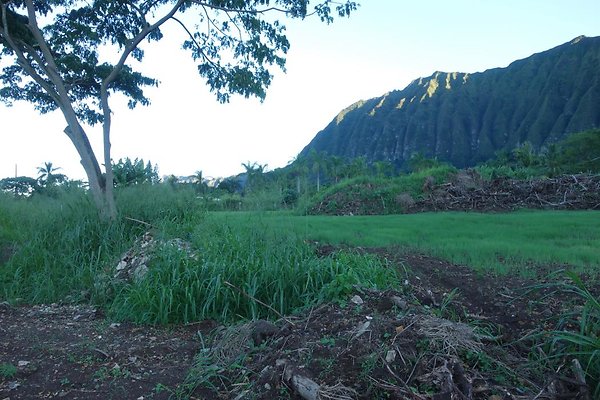 th DSC07011 th DSC07011