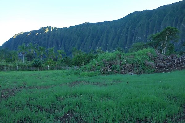 th DSC07016 th DSC07016