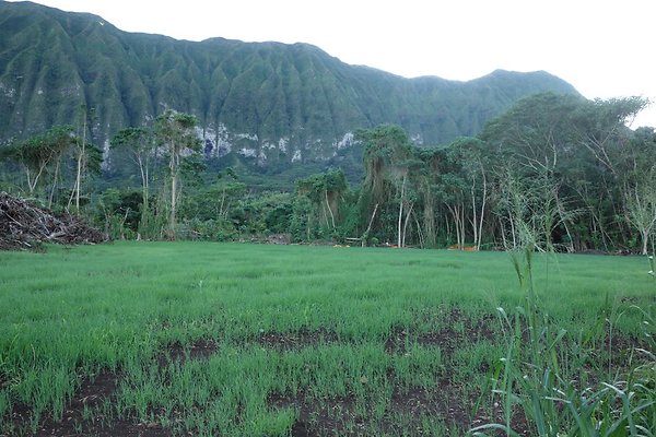 th DSC07017 th DSC07017