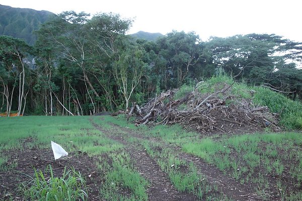 th DSC07013 th DSC07013