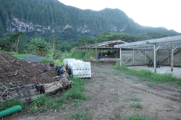 th DSC07025 th DSC07025