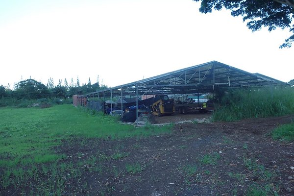 th DSC07010 th DSC07010