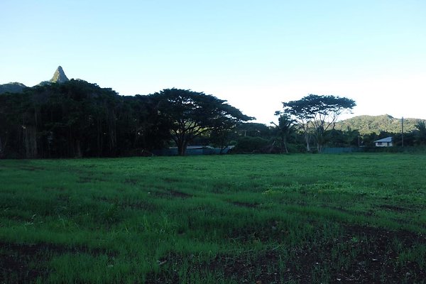 Waimanalo Open Lot across Waimanalo Wood Jessica Stamm 808.294.7432