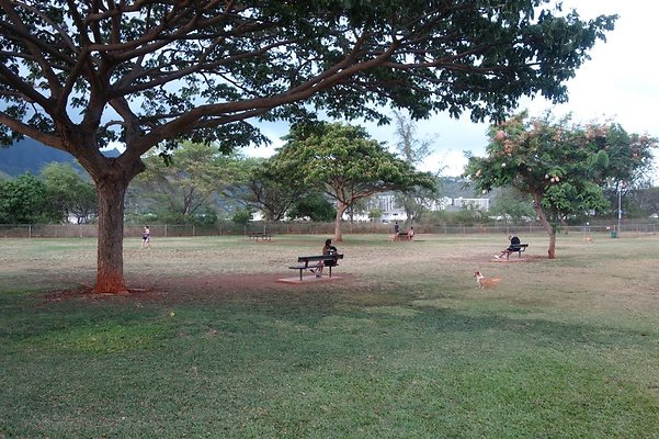 th DSC04599 th DSC04599