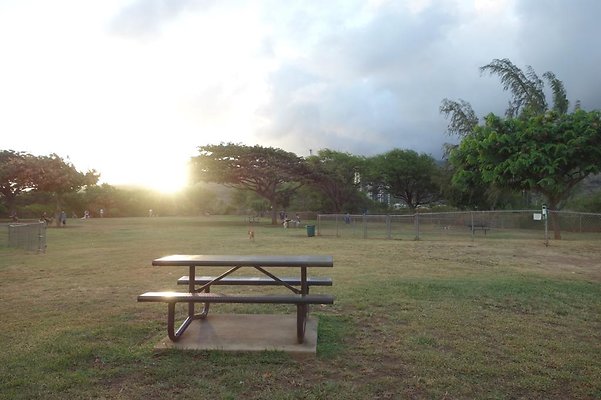 th DSC04593 th DSC04593