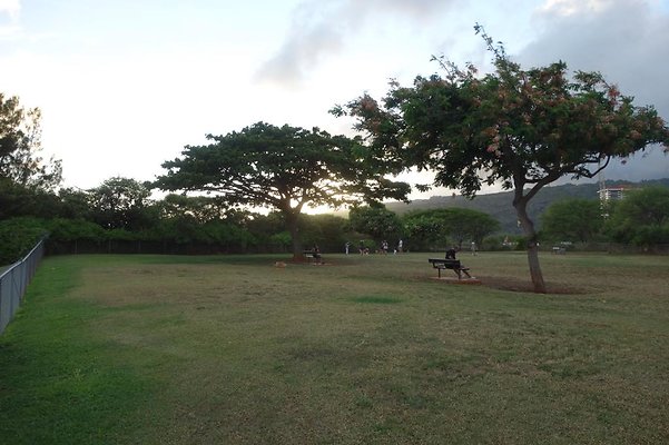 th DSC04595 th DSC04595