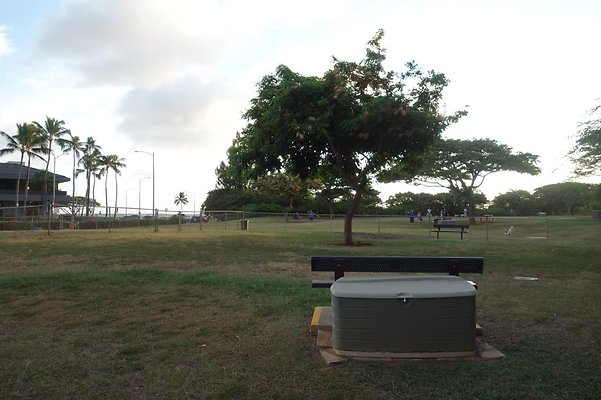 th DSC04590 th DSC04590